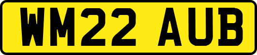 WM22AUB