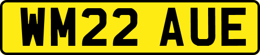 WM22AUE