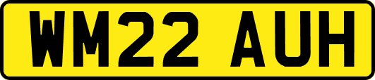 WM22AUH