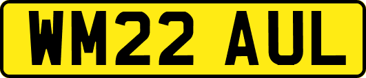 WM22AUL