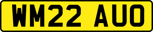 WM22AUO