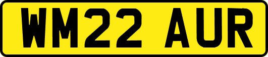 WM22AUR