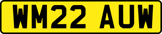 WM22AUW