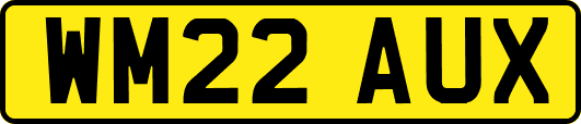 WM22AUX