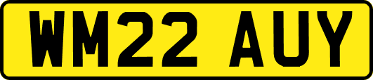 WM22AUY