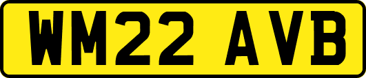 WM22AVB