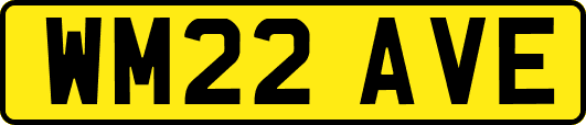 WM22AVE