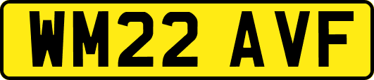 WM22AVF