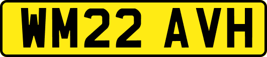 WM22AVH