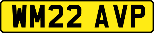 WM22AVP