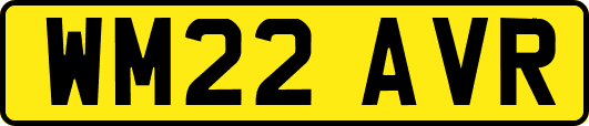 WM22AVR