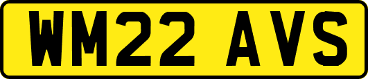 WM22AVS