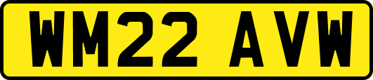 WM22AVW
