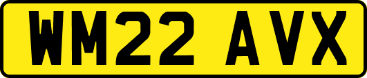 WM22AVX
