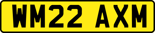 WM22AXM