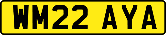 WM22AYA