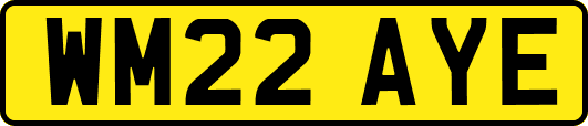 WM22AYE