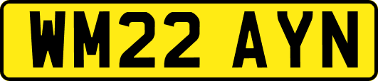 WM22AYN