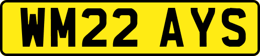 WM22AYS