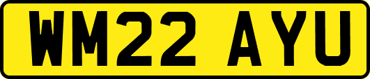 WM22AYU