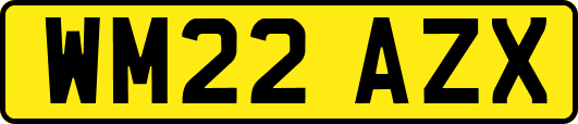 WM22AZX