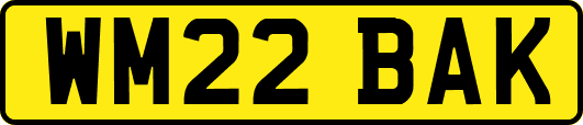 WM22BAK