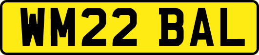 WM22BAL