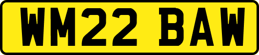 WM22BAW