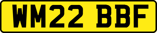 WM22BBF