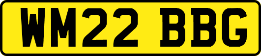 WM22BBG