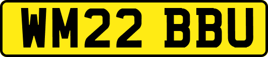 WM22BBU