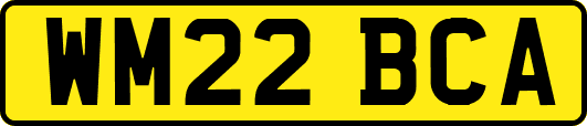 WM22BCA