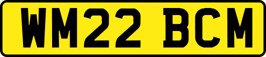 WM22BCM