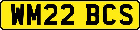 WM22BCS