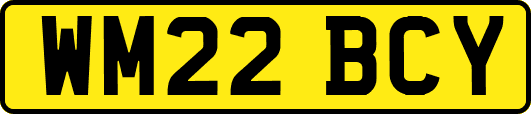 WM22BCY