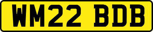 WM22BDB