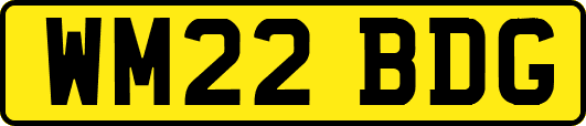 WM22BDG
