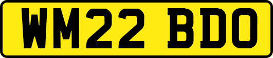 WM22BDO