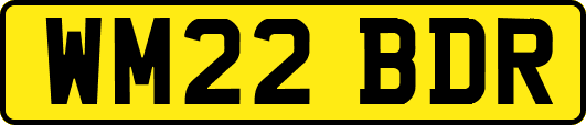 WM22BDR