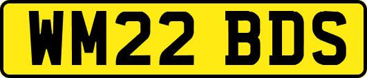 WM22BDS