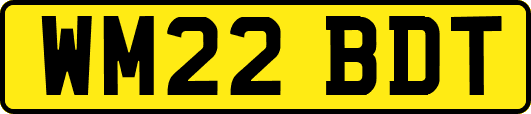 WM22BDT