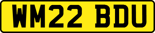 WM22BDU