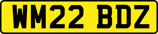 WM22BDZ