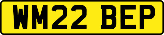 WM22BEP