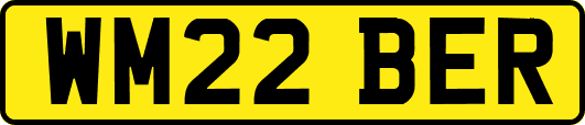 WM22BER