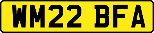 WM22BFA