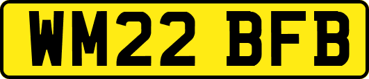 WM22BFB