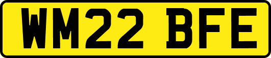 WM22BFE