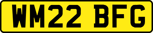 WM22BFG