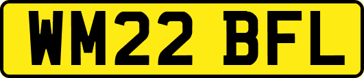 WM22BFL